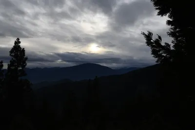 DSC_0061 (Large).JPG